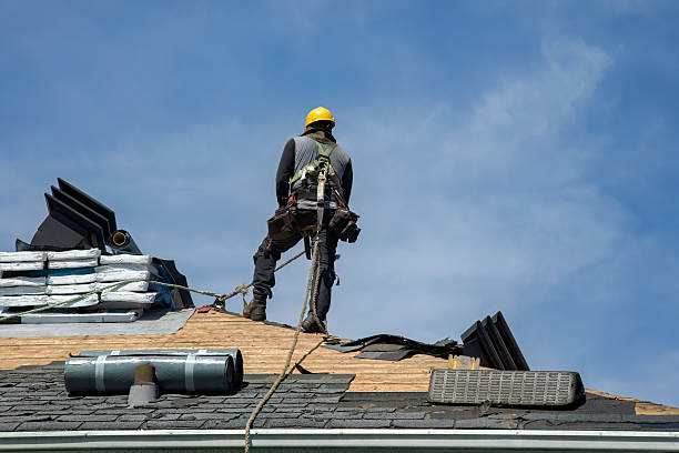 Professional Roofing technician working in Almont, CO